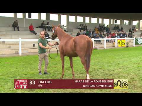 Show Aqps Ouest 2019 : Lot 83 - HIATUS