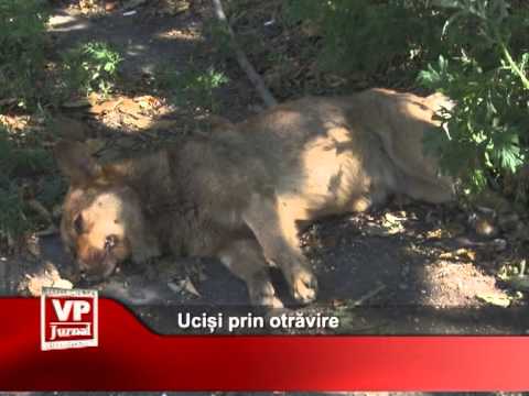 Uciși prin otrăvire