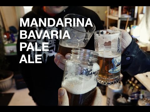 Mandarina Bavaria Pale Ale Taste Test!