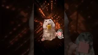 無限城に落とされるハムスター #ハムスター