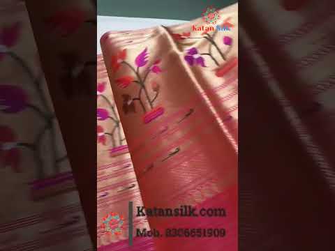 Saree Video 2