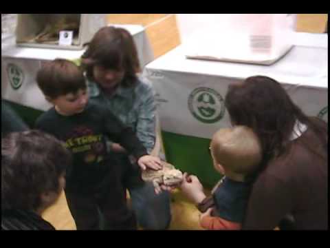 YouTube Video Tv8E3TV9wRw