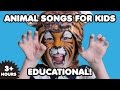 Animal Songs For Kids 3 Hours Nursery Rhymes Kids Songs Educational