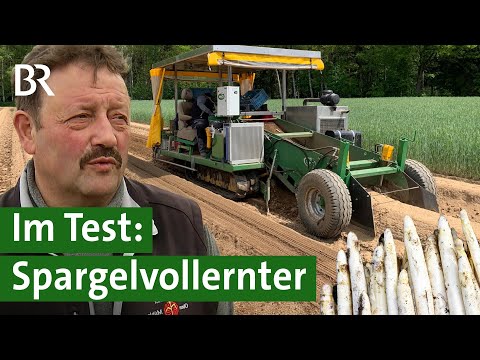 Statt Erntehelfern: Spargel ernten mit dem Vollernter | Landmaschinen | Unser Land | BR
