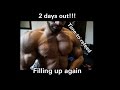 Vlog 12 | LOADING UPPP. | 02 dagen uit mn eerste bodybuilding wedstrijd JBC'17