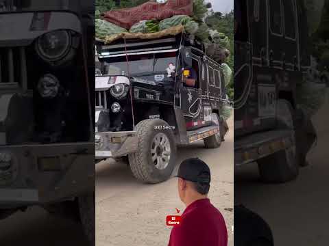 ¿Ya identificó este hermoso Jeep desde Argelia, Valle del Cauca