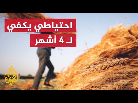 وزير التموين المصري نركز حاليا على حصاد القمح المحلي
