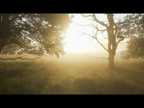 Wash Me Clean by Josh Garrels (Lyric Video)