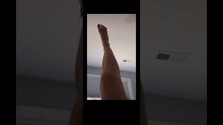 Absolute perverts all of yis