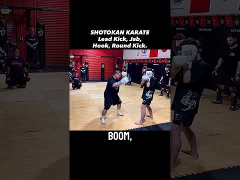 Full Combo Breakdown — Kick, Jab, Slide, Hook, Rear Kick