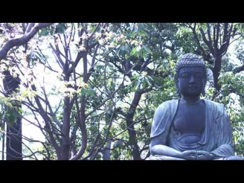 THE LOST TRIBES OF IBADAN - POWDER