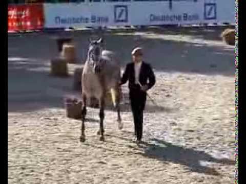 Flor das Arcas,  Feira do Cavalo na Ponte de Lima 2013