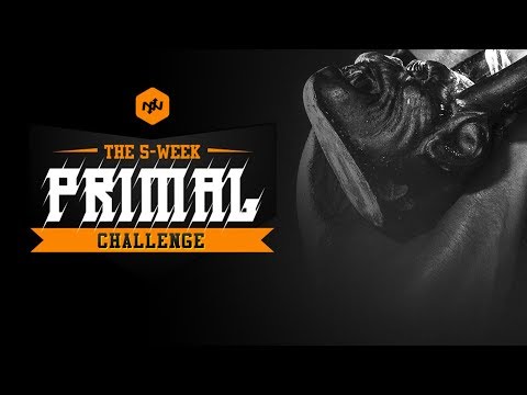 download lagu mp3 mp4 Onnit Primal, download lagu Onnit Primal gratis, unduh video klip Onnit Primal