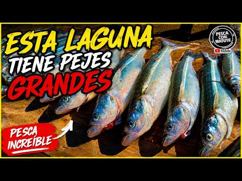 GUAMINI, PESQUERO DEL MONTE,,TERRIBLES PEJERREY DE COSTA.