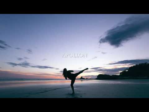 Jo Cohen X King - The One (Ft. ADI)