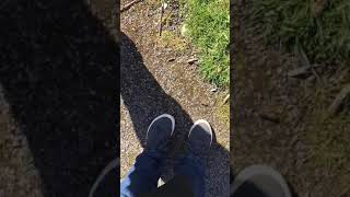 Would u rather bee or a wasp