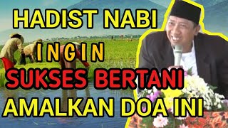 Download lagu İJAZAH GUS QOYYUM LASEM, DOA UNTUK MENANAM TANAMAN , mp3 Download lagu İJAZAH GUS QOYYUM LASEM, DOA UNTUK MENANAM TANAMAN , mp3