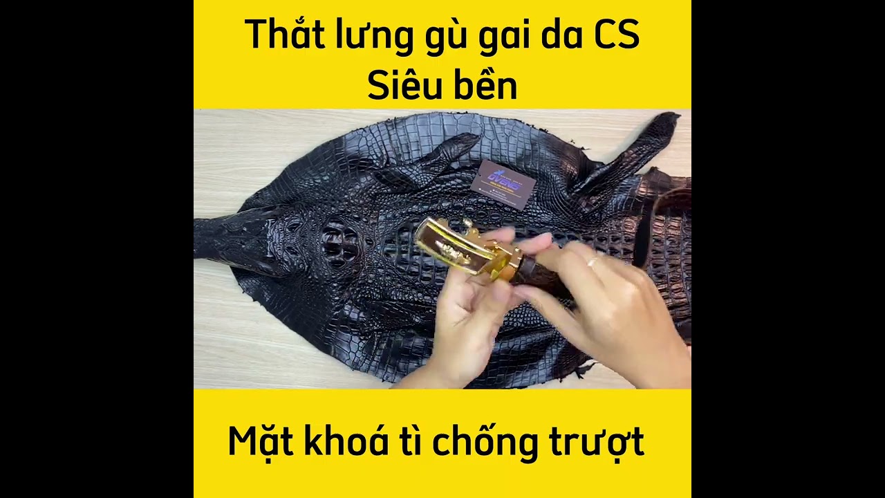 Thắt Lưng Gù Gai Cá Sấu Rất Đẹp TS103A (mặt vàng)