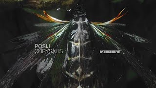 Posij - Nighthorse