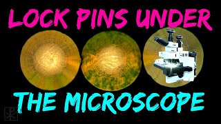 Lock Forensics: The Impact of Raking on Different Pin Types