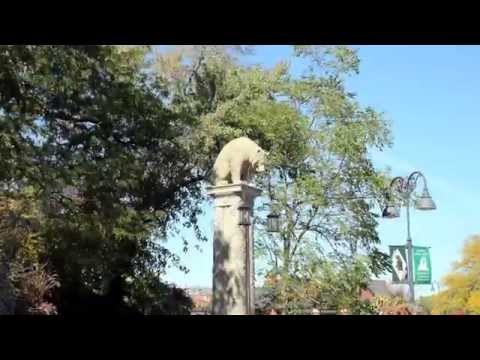 Glenview, IL Tourism Video