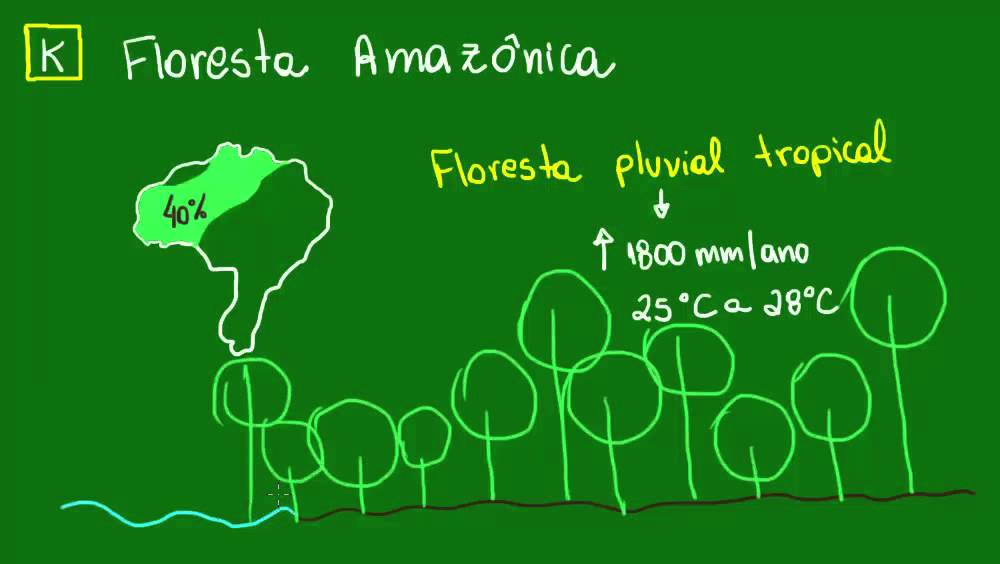 Floresta Amazônica - Ecologia - Biologia