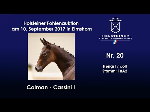 Nr. 20 v. Colman - Cassini I