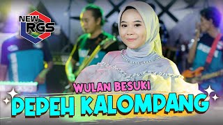 Download lagu Pepeh Kalompang - Wulan Besuki (Cover) | New RGS mp3