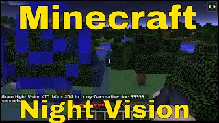 Minecraft Commands - How to Use the Night Vision Command