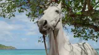 01   Hannah Davis and Her Horse   DIRECTV Commercial Ad