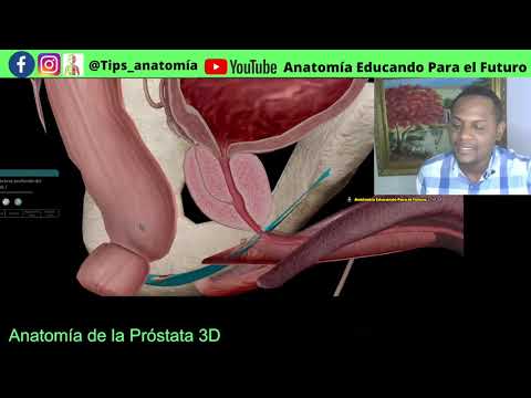 Prostatitis no bacteriana
