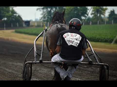 Petrovdanske trke - Hipodrom Srbobran