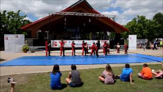 Flying Tigers Taekwondo Demonstration Flying Tigers Taekwondo Demonstration