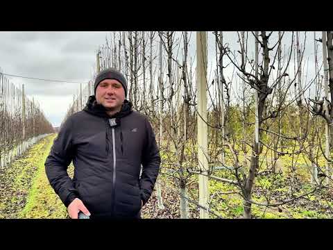 Bosch Pro Pruner electric pruner - review after 3 years of use