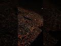 Viewing From Flight At Night In Kuwait Reels Shorts Kuwait