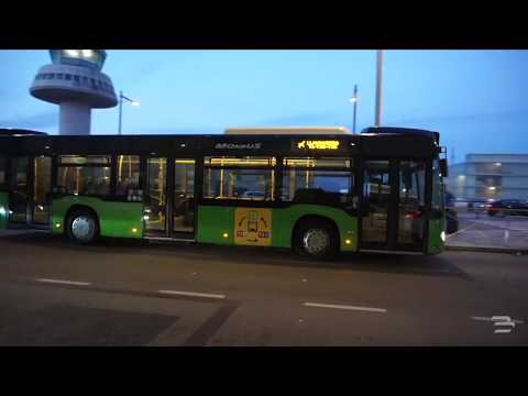 Felium - Never Been (Official Video) - Rome