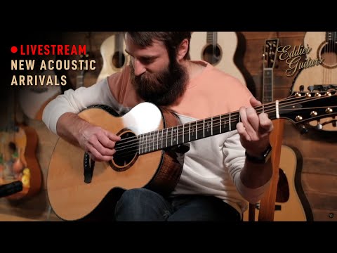 Ryan Nightingale Grand Soloist 10-String Walnut/Bearclaw Sitka Sitka *VIDEO* image 26