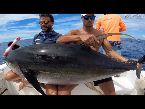 Extreme Fishing in the Seychelles! Discover the Amirantes, Farquhar, Mahé and Praslin ...