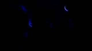 The Horrors - Sheena Is A Parasite