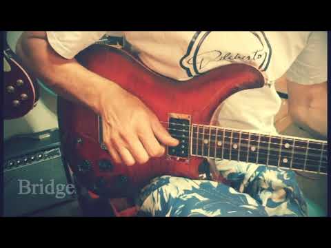 Diliberto Pickups C9 Plus (59 Plus)