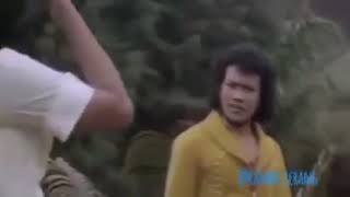 Download lagu Rambo serang ani bellwether mp3