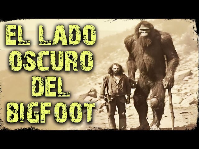 Vídeo relacionado con Misterioso Bigfoot Van Gogh Pueblo Nocturno Estrellado pacífico Sudadera