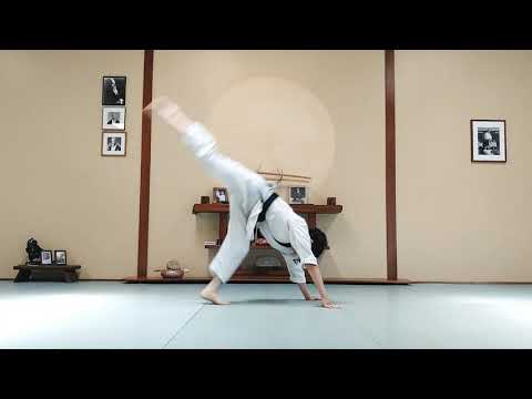 Aikido at Home - Online Lesson 9