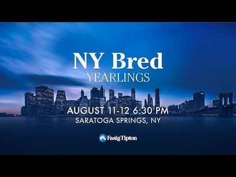 New York Bred Yearlings: Where Will You Be? (2018)