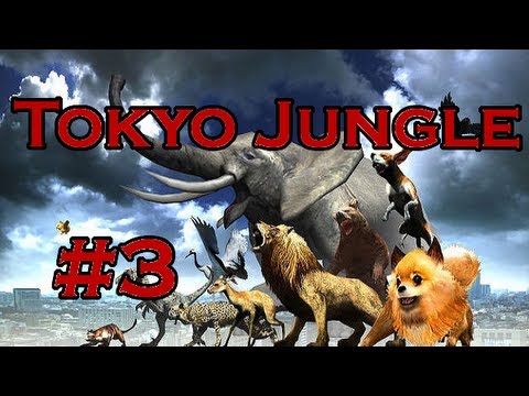 Tokyo Jungle Ep. 3 - Pomeranian Round 2 (Pomeranian | Survival)