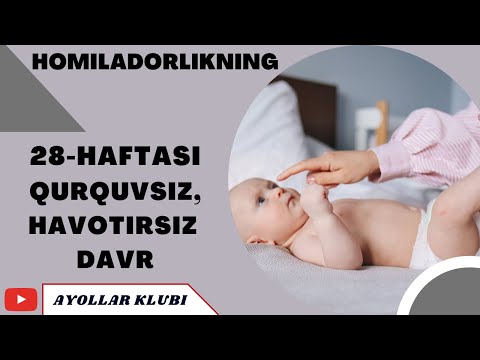 28 HAFTALIK HOMILA QURQUVSIZ HOVOTIRSIZ DAVR