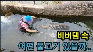 노동력절감 최강 제초제 아세요? Do you know the strongest herbicide that r…