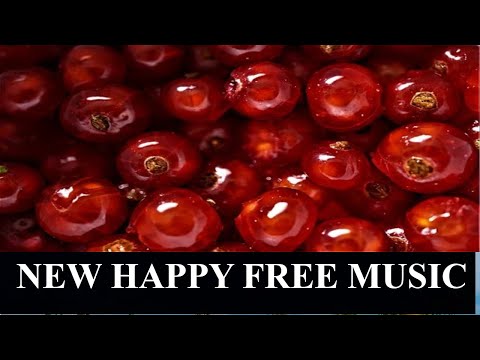 [Love on wings Riddim] - New Happy Background Music For Free [Copyright Free Music]