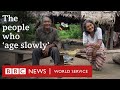 The Tsimane Amazon Tribe Where People Age Better BBC World Service