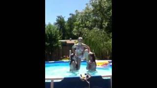 Download lagu Pool Stunting mp3